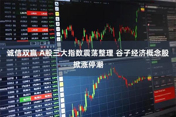 诚信双赢 A股三大指数震荡整理 谷子经济概念股掀涨停潮