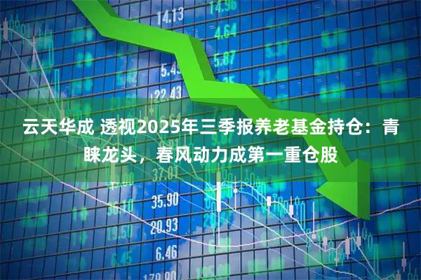 云天华成 透视2025年三季报养老基金持仓：青睐龙头，春风动力成第一重仓股