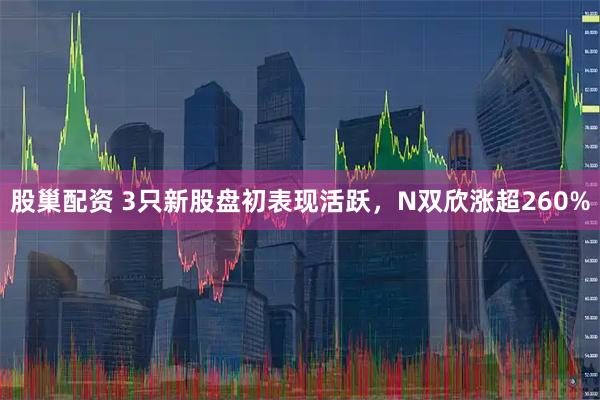 股巢配资 3只新股盘初表现活跃，N双欣涨超260%