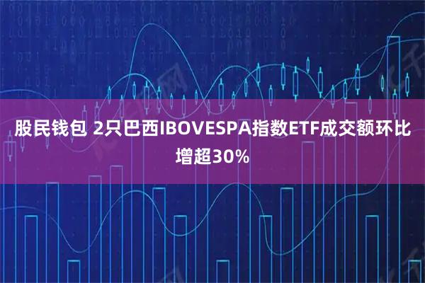 股民钱包 2只巴西IBOVESPA指数ETF成交额环比增超30%